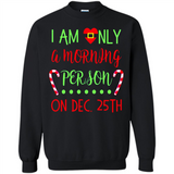 Funny Christmas Gift Santa - Sweatshirt
