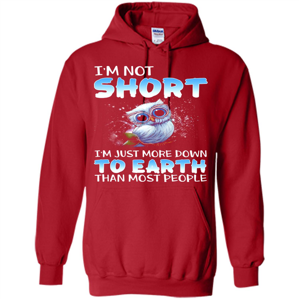 The owl I'm not short I just more down to Earth than most people - Hoodie