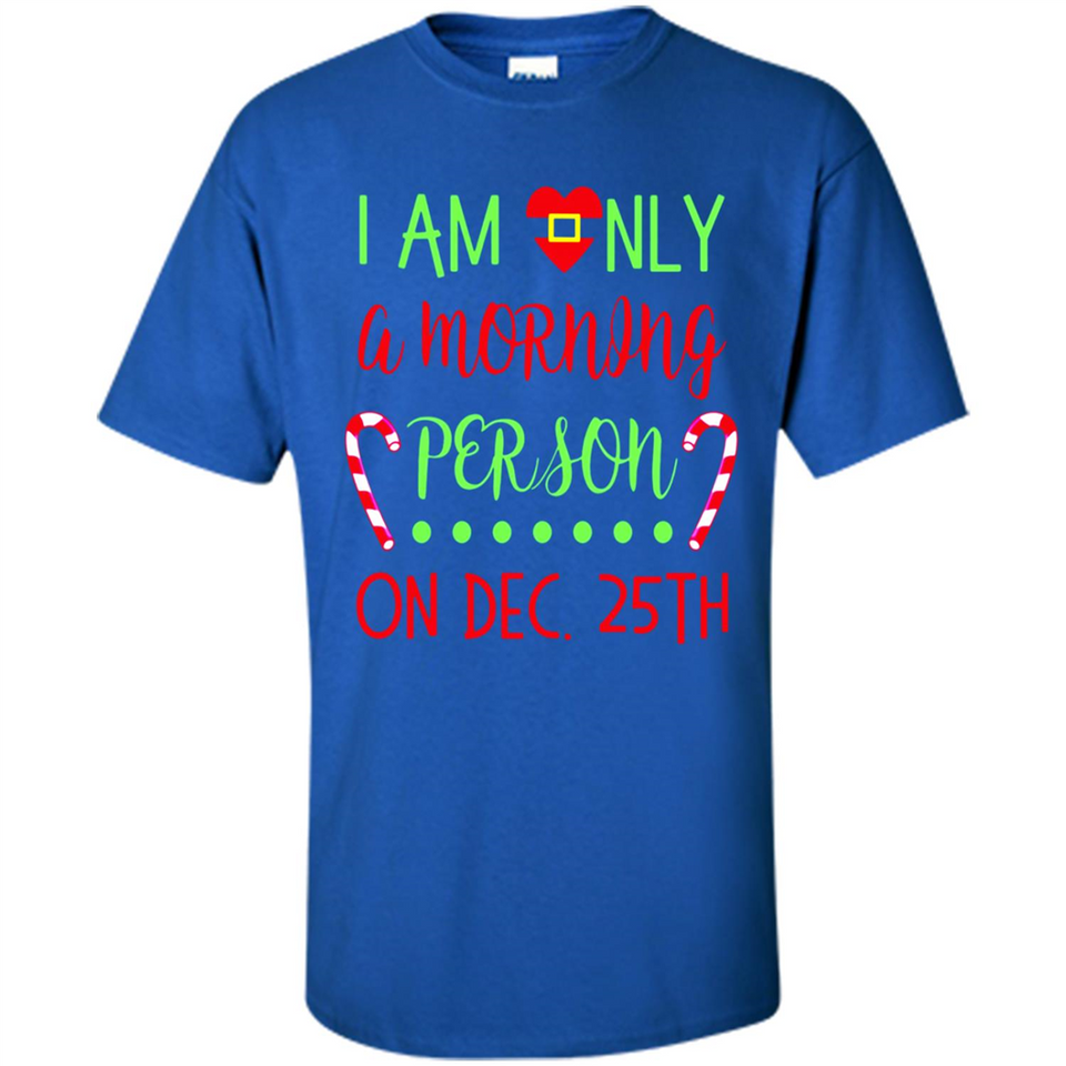 Funny Christmas Gift Santa - Shirt