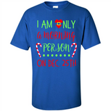 Funny Christmas Gift Santa - Shirt