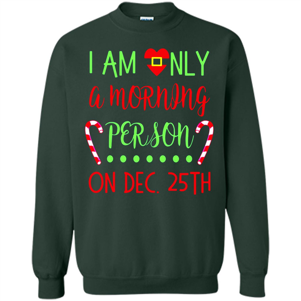 Funny Christmas Gift Santa - Sweatshirt