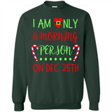 Funny Christmas Gift Santa - Sweatshirt