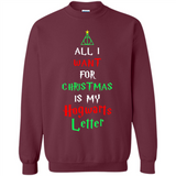 All I want for Christmas is my letter sweater PINGPONG