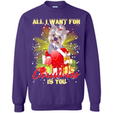 All I Want For Christmas Is You Yorkie Yorkshire Terrier