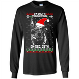 Morning Person Dutch Shepherd Funny Xmas - Long Sleeve T-Shirt
