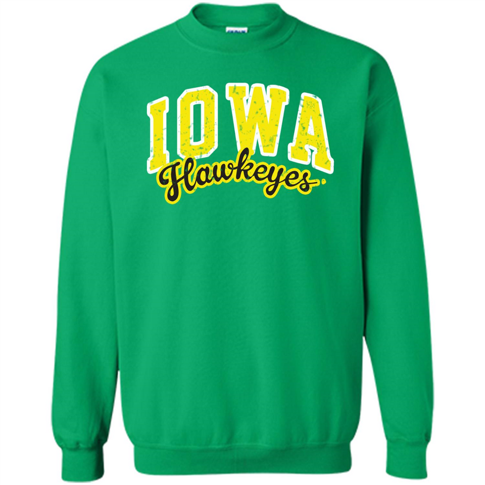 University of Iowa Hawkeyes NCAA