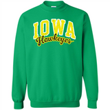 University of Iowa Hawkeyes NCAA