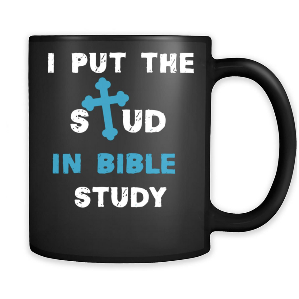 I PUT THE STUD IN BIBLE STUDY CROSS