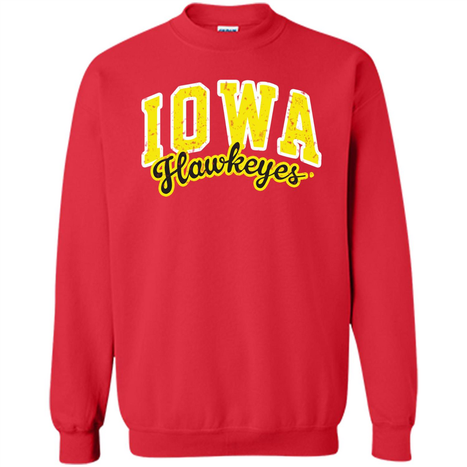 University of Iowa Hawkeyes NCAA