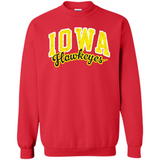 University of Iowa Hawkeyes NCAA