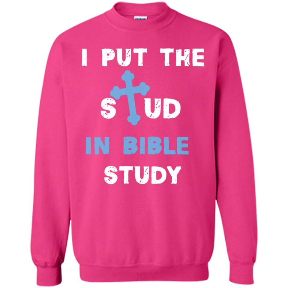I PUT THE STUD IN BIBLE STUDY CROSS