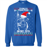 Morning Person Dutch Shepherd Funny Xmas - Sweatshirt