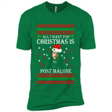 All I want for Christmas is Post Malone PINGPONG