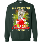 All I Want For Christmas Is You Yorkie Yorkshire Terrier