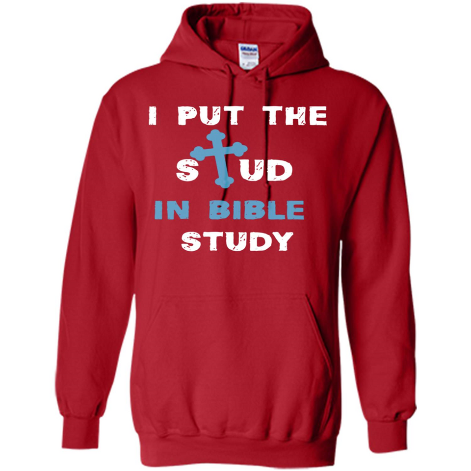 I PUT THE STUD IN BIBLE STUDY CROSS