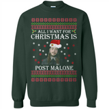 All I Want For Christmas Is Post Malone