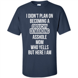 I Didn't Plan on Becoming a Grouchy Demanding