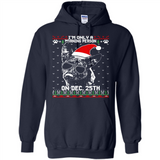 Morning Person Dutch Shepherd Funny Xmas - Hoodie