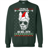 Morning Person Pharaoh Hound Funny Xmas - Sweatshirt