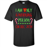 Funny Christmas Gift Santa - Shirt