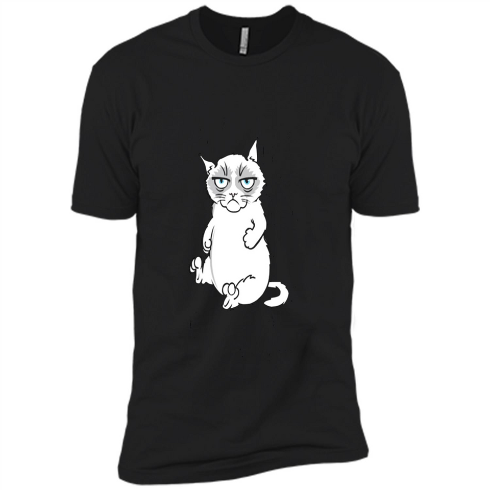 annoyed kitty touchy kitty grouchy ball of fur noody kitty PING PONG