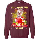 All I Want For Christmas Is You Yorkie Yorkshire Terrier