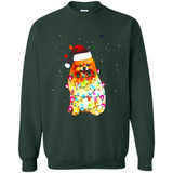 Pomeranian Santa Lights Christmas Dog Xmas Sweatshirt - Sweatshirt