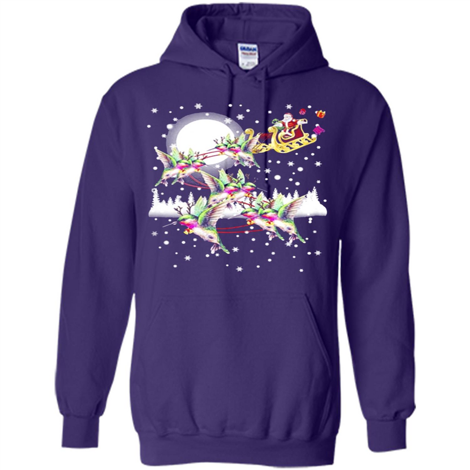 Hummingbird Santa Sleigh - Hoodie