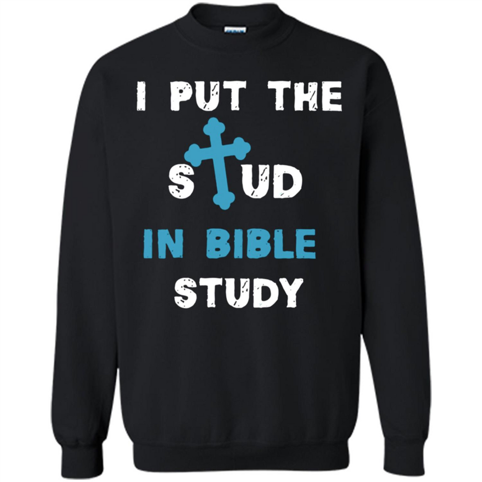 I PUT THE STUD IN BIBLE STUDY CROSS