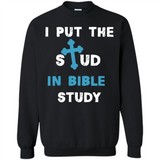 I PUT THE STUD IN BIBLE STUDY CROSS