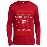 All I want for Christmas is Post Malone PINGPONG