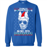 Morning Person Pharaoh Hound Funny Xmas - Sweatshirt