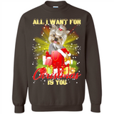 All I Want For Christmas Is You Yorkie Yorkshire Terrier
