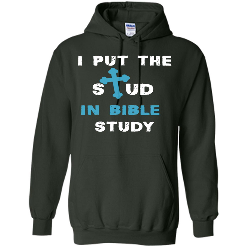 I PUT THE STUD IN BIBLE STUDY CROSS