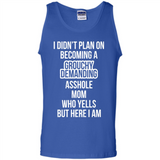 I Didn't Plan on Becoming a Grouchy Demanding