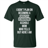 I Didn't Plan on Becoming a Grouchy Demanding