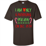 Funny Christmas Gift Santa - Shirt