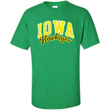 University of Iowa Hawkeyes NCAA