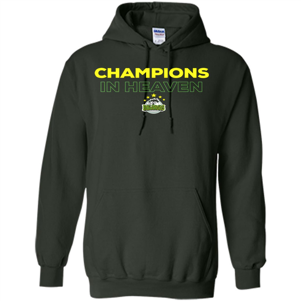 HUMBOLDT BRONCOS CHAMPIONS IN HEAVEN