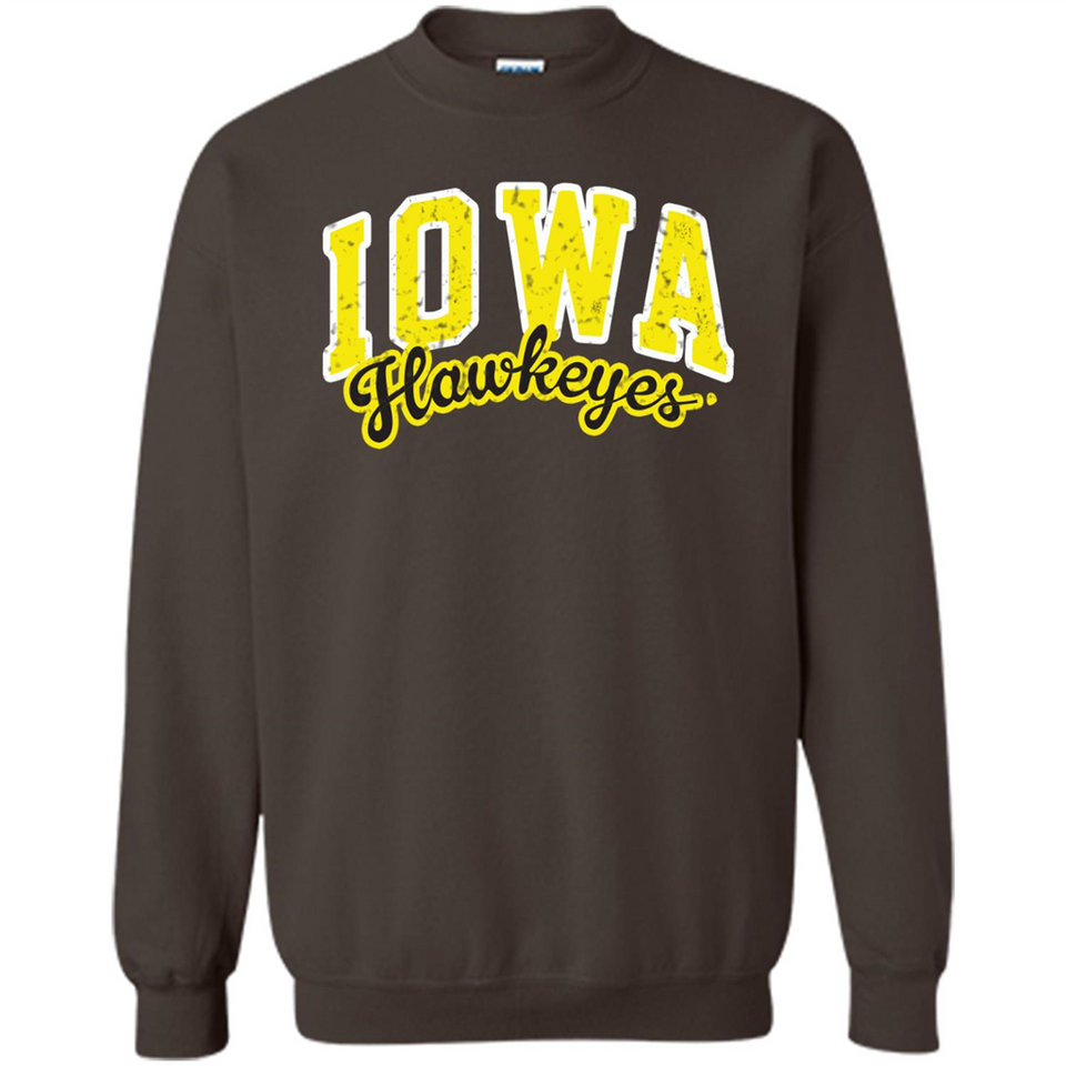 University of Iowa Hawkeyes NCAA