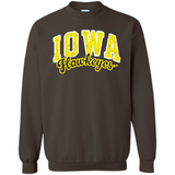University of Iowa Hawkeyes NCAA